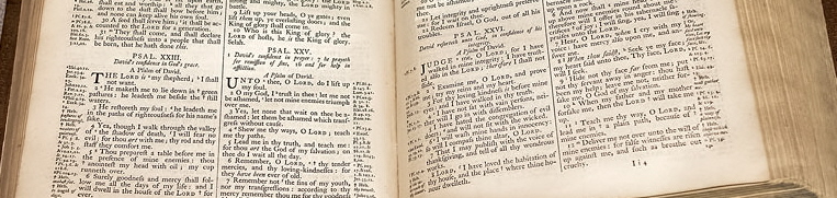 Category Image