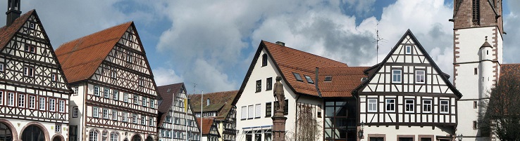 Category Image