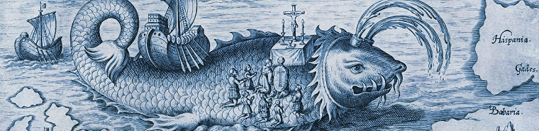 Category Image
