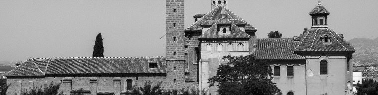 Category Image