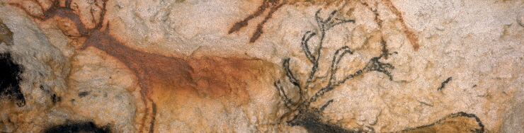 Category Image