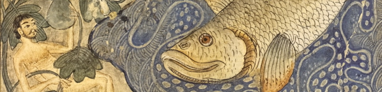 Category Image