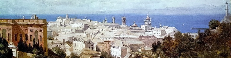 Category Image