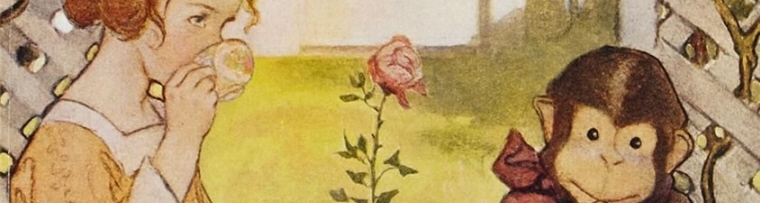 Category Image