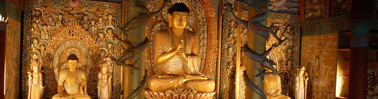 Category Image