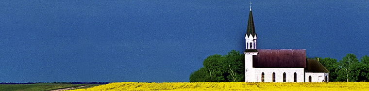 Category Image