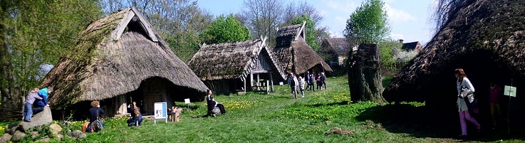 Category Image