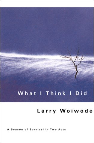 Image for What I Think I Did