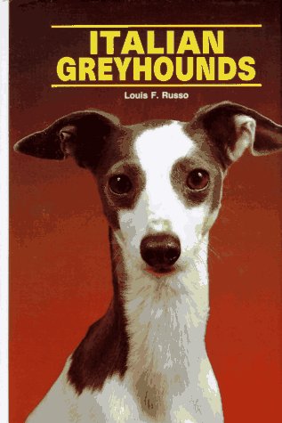Image for Italian Greyhounds
