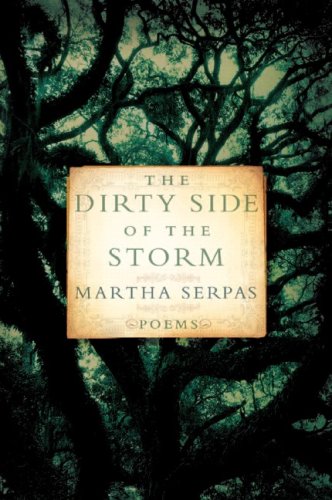 Image for The Dirty Side of the Storm: Poems