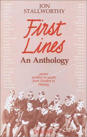 Image for First Lines: Poems Written in Youth from Herbert to Heaney (Fyfield Books)